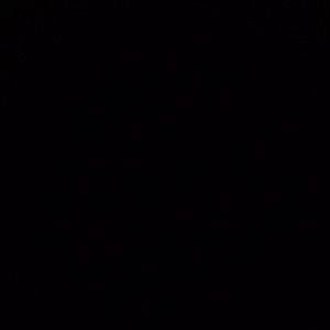 Meet your Posher, Tasha